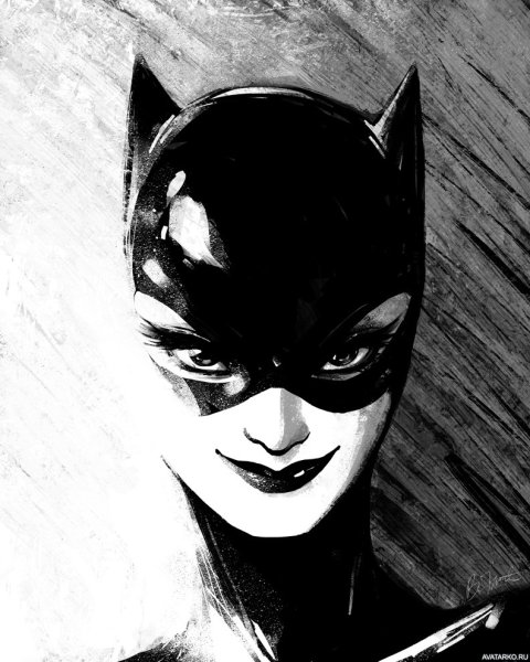 Catwoman Bruce Timm