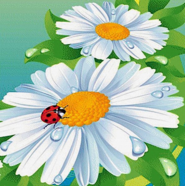 Ромашка мультяшная