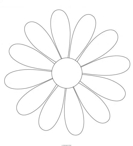 Ромашка для раскрашивания