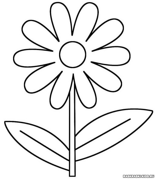 Ромашка раскраска