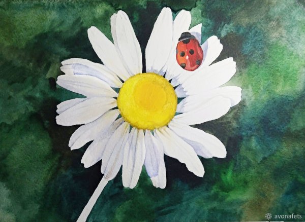 Ромашки гуашью