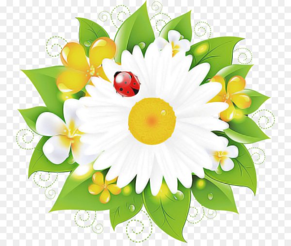 Ромашка раскраска для детей