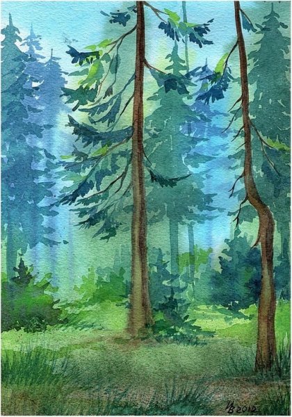 Еловый лес гуашью