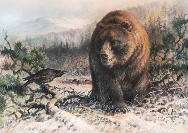 Горбатов анималист бурый медведь