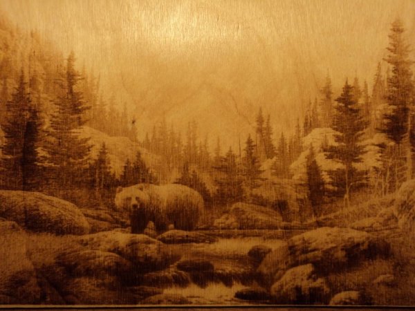 Пейзаж выжигателем