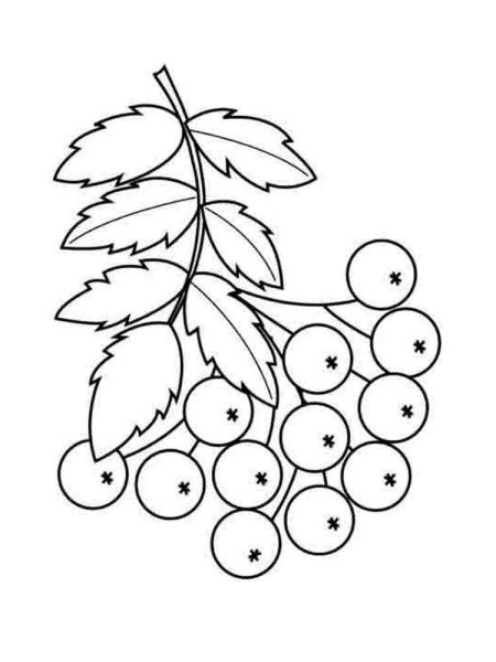 Ветка рябины рисование