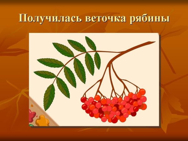 Кисть Рябинки гроздь Калинки