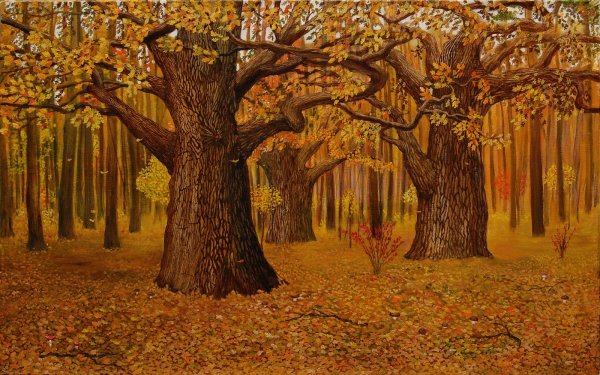 Лес осенью для детей