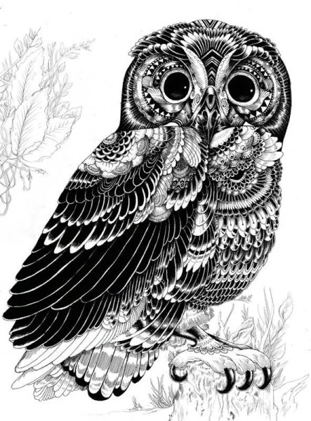 Графика рисунки