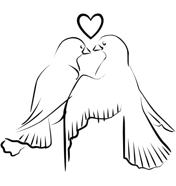 Свадебные голуби