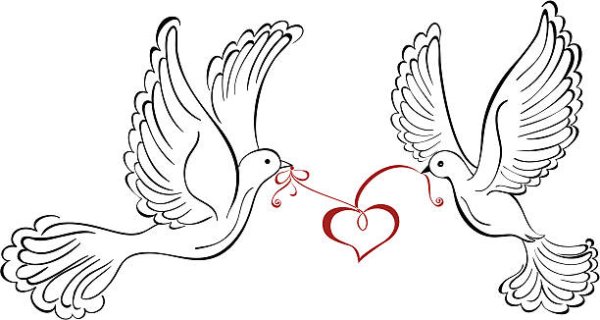 Свадебные голуби вектор