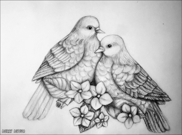Набросок пара голубей