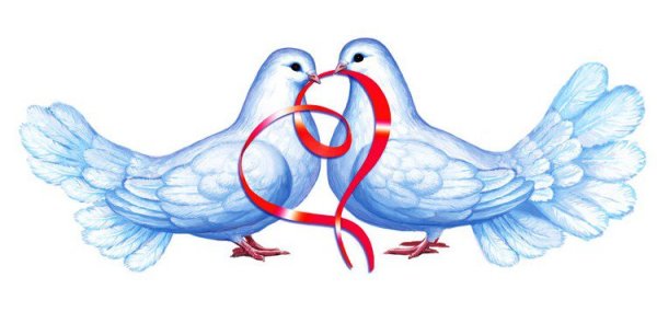 Голуби на свадьбу рисунок