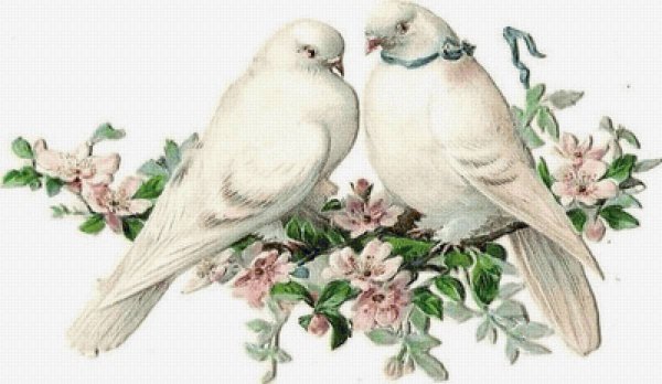 Птицы для декупажа на белом фоне