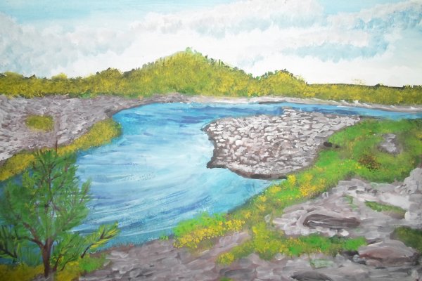 Тундра летом рисунки для детей