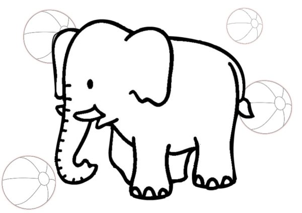 Слон черно белый