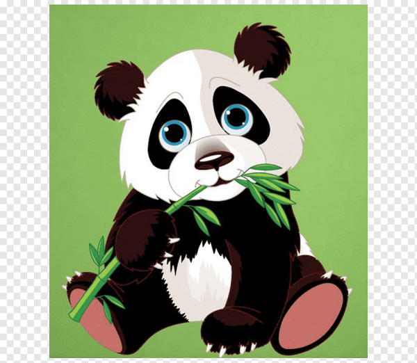 Панда рисунок