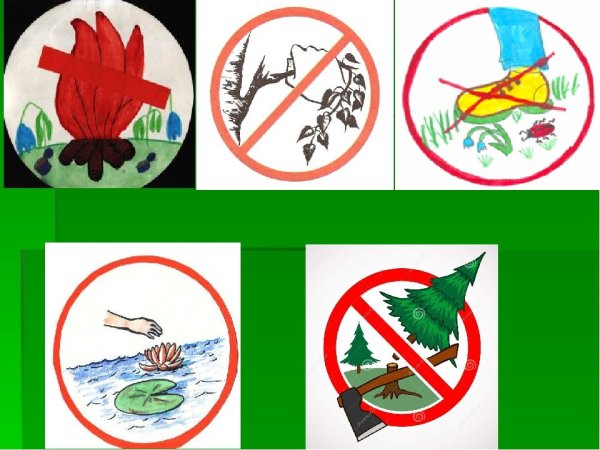 Плакат берегите растения