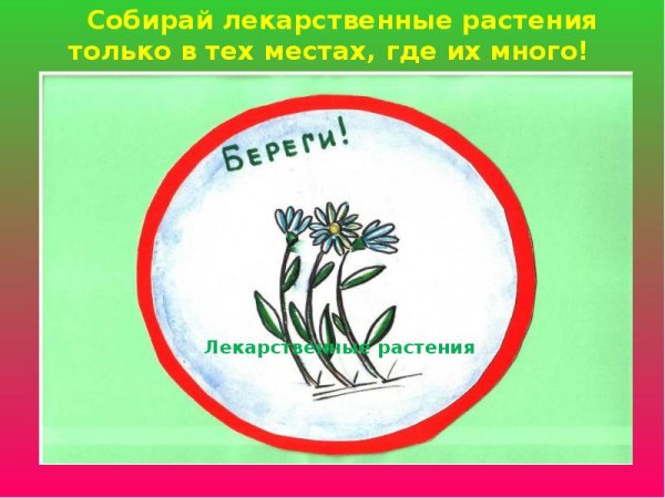 Плакат берегите растения