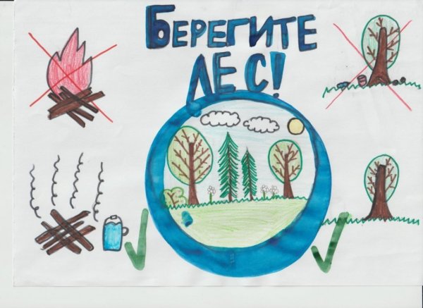 Плакат берегите растения