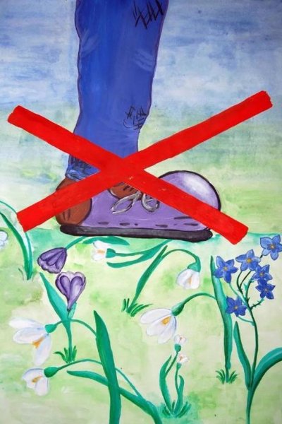 Плакат по защите природы