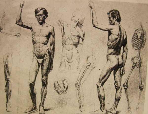 Экорше Гудона в полный рост