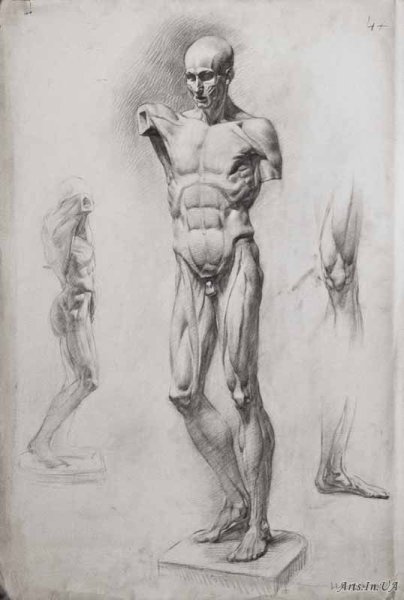 Наброски фигуры Академия Репина