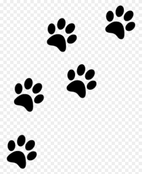 Следы собачки