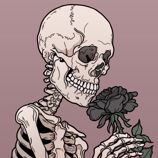 Скелет человека рисунок