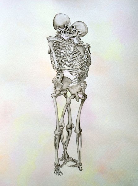 Скелет контур