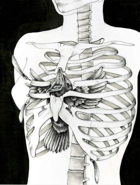 Скелет для срисовки