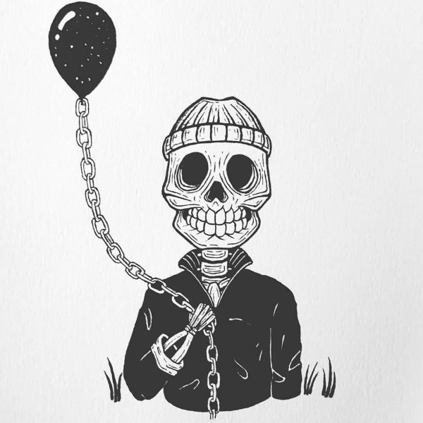 Анатомия человека skelet