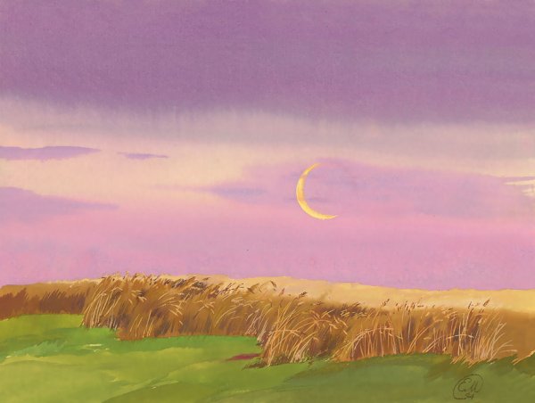 Донецк степь Терриконы