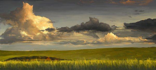 Поле акварелью