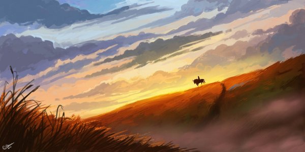 Поле карандашом