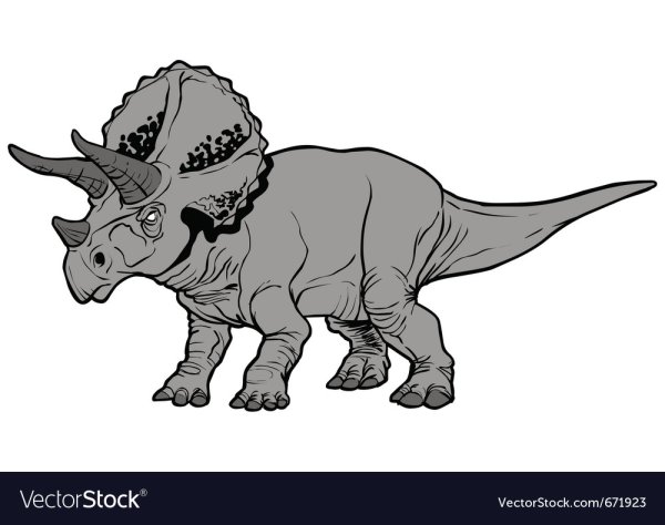 Triceratops horridus