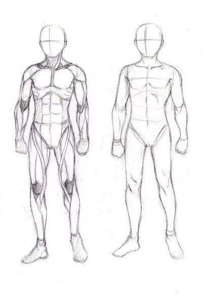 Мужчина сбоку анатомия