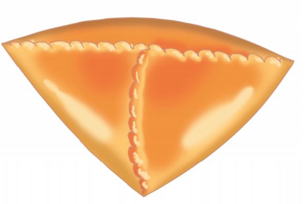 Очпочмак вектор