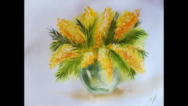 Ветка ветка мимозы