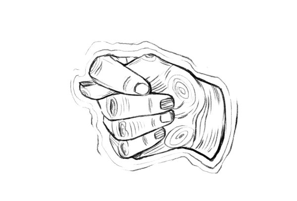 Фига рисунок карандашом