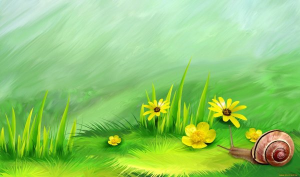 Сказочная Поляна с цветами