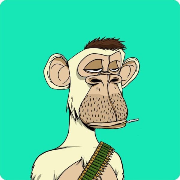 НФТ обезьяна