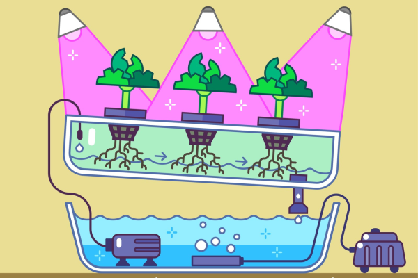 NFT рисование