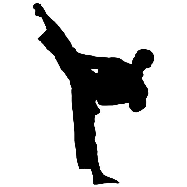 Боевые искусства силуэт