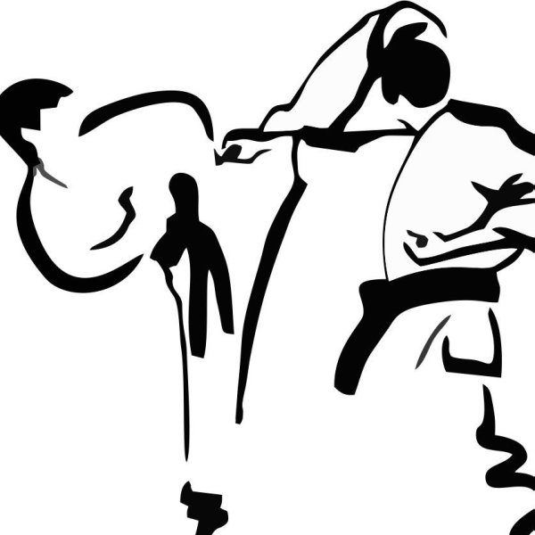 Кекушин каратэ вектор