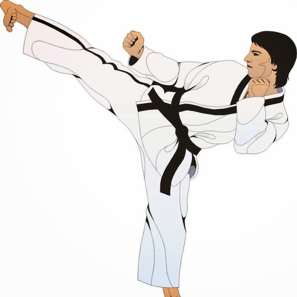 Каратист на белом фоне