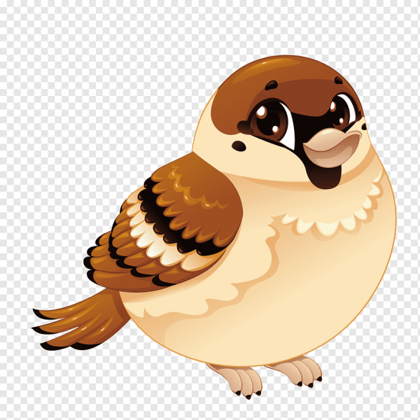 Воробей Воробушек Воробьишко