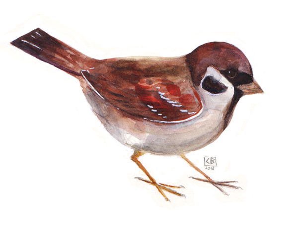 Воробей рисунок