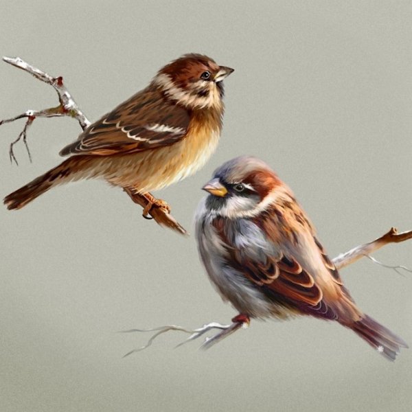 Елена Крестникова художник