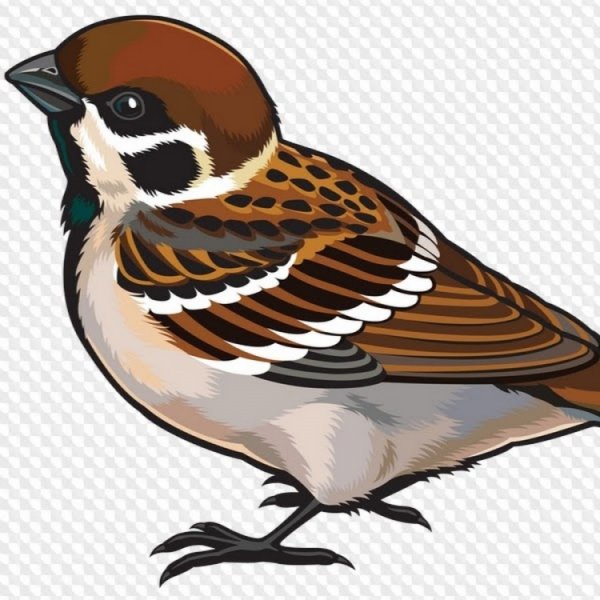 Воробей для детского сада